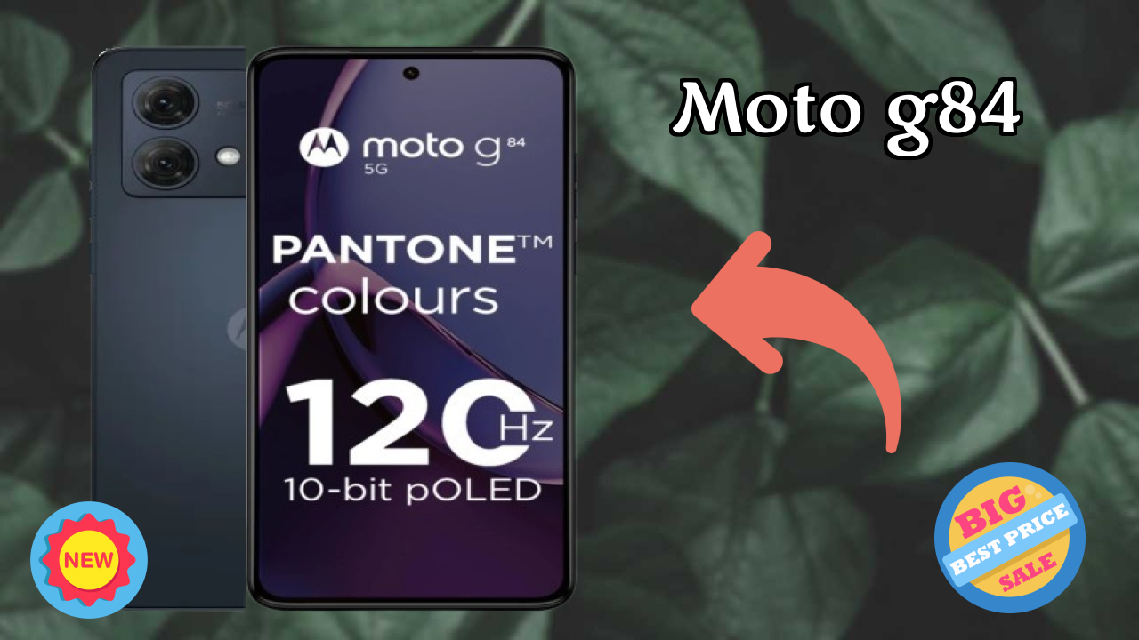 Moto G84 Camera Test: 50 MP + 8 MP Rear Camera Sample Shots