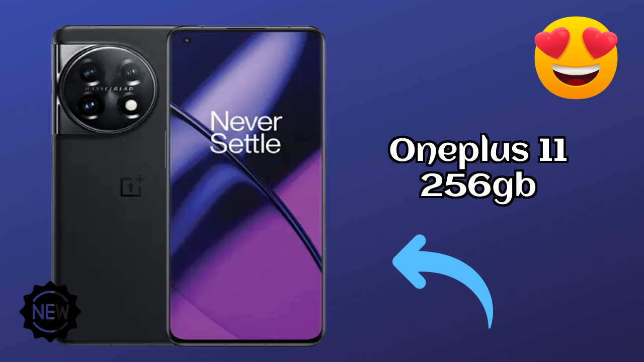 OnePlus 11 256GB Camera Review: 50 MP + 48 MP + 32 MP Rear Camera Photo Test