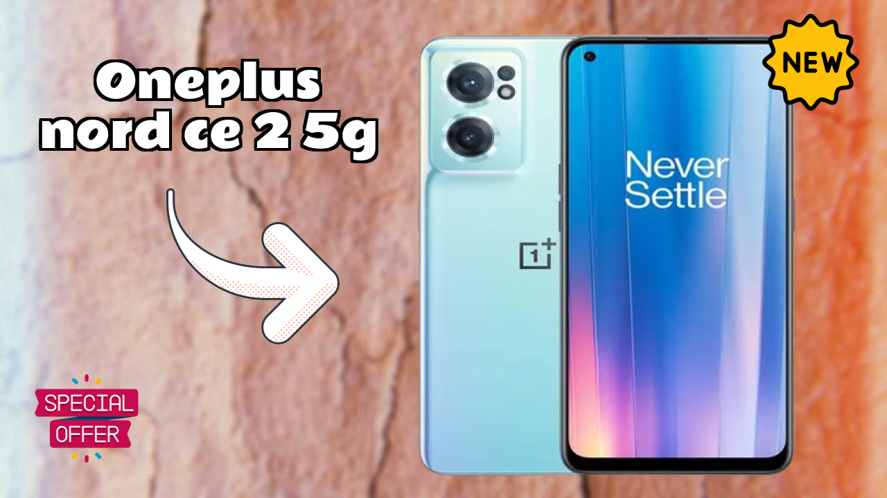 OnePlus Nord CE 2 5G Camera Review: 64 MP + 8 MP + 2 MP Rear Camera Photo Quality